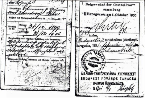Taraczkozy Military Pass Book 2